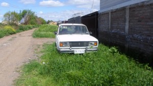 abandonado1
